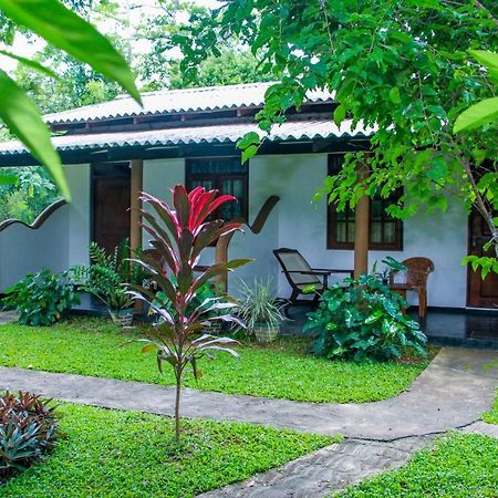 Nimsara Lodge Σιγκιρίγια Εξωτερικό φωτογραφία