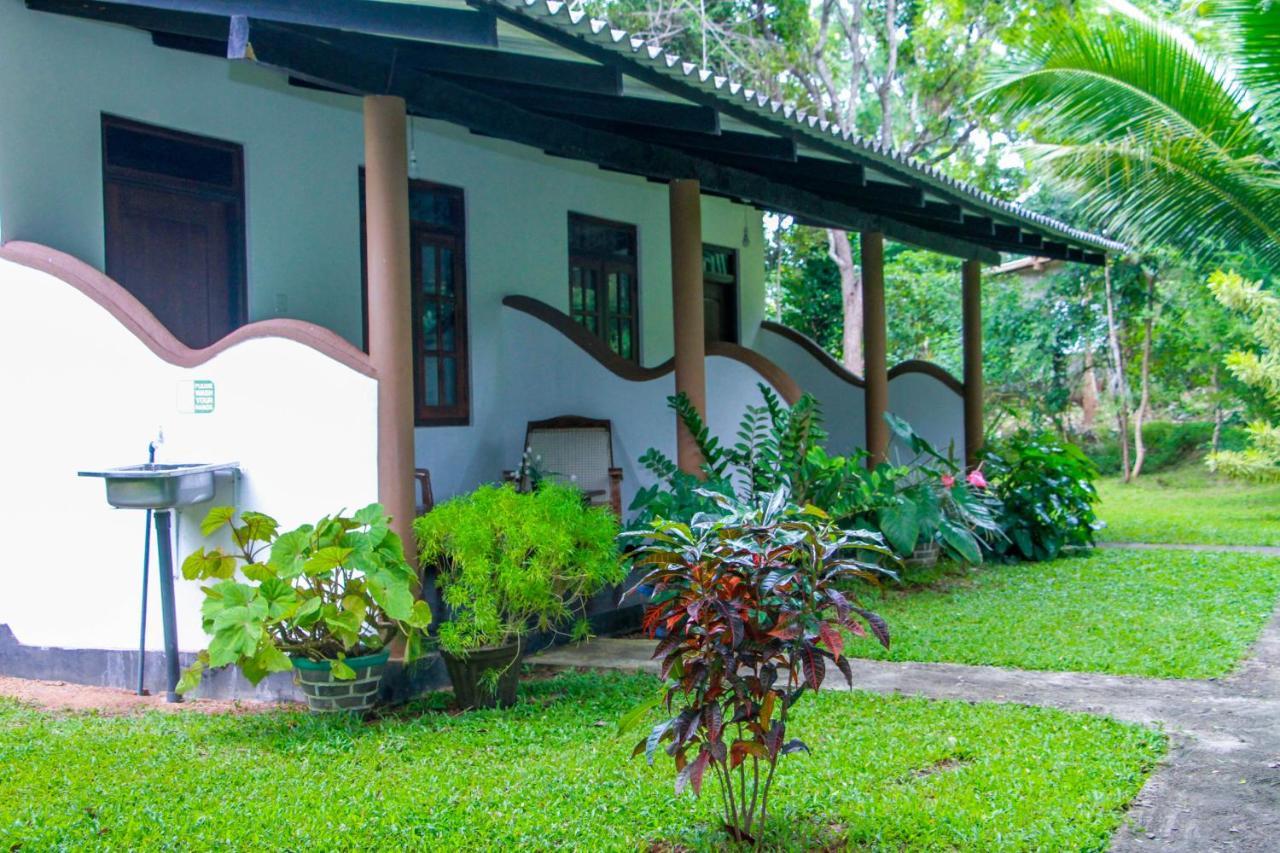 Nimsara Lodge Σιγκιρίγια Εξωτερικό φωτογραφία