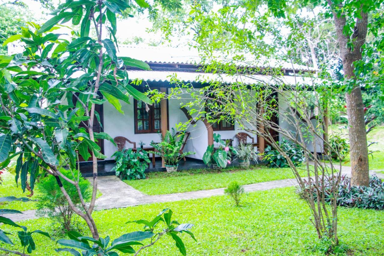 Nimsara Lodge Σιγκιρίγια Εξωτερικό φωτογραφία