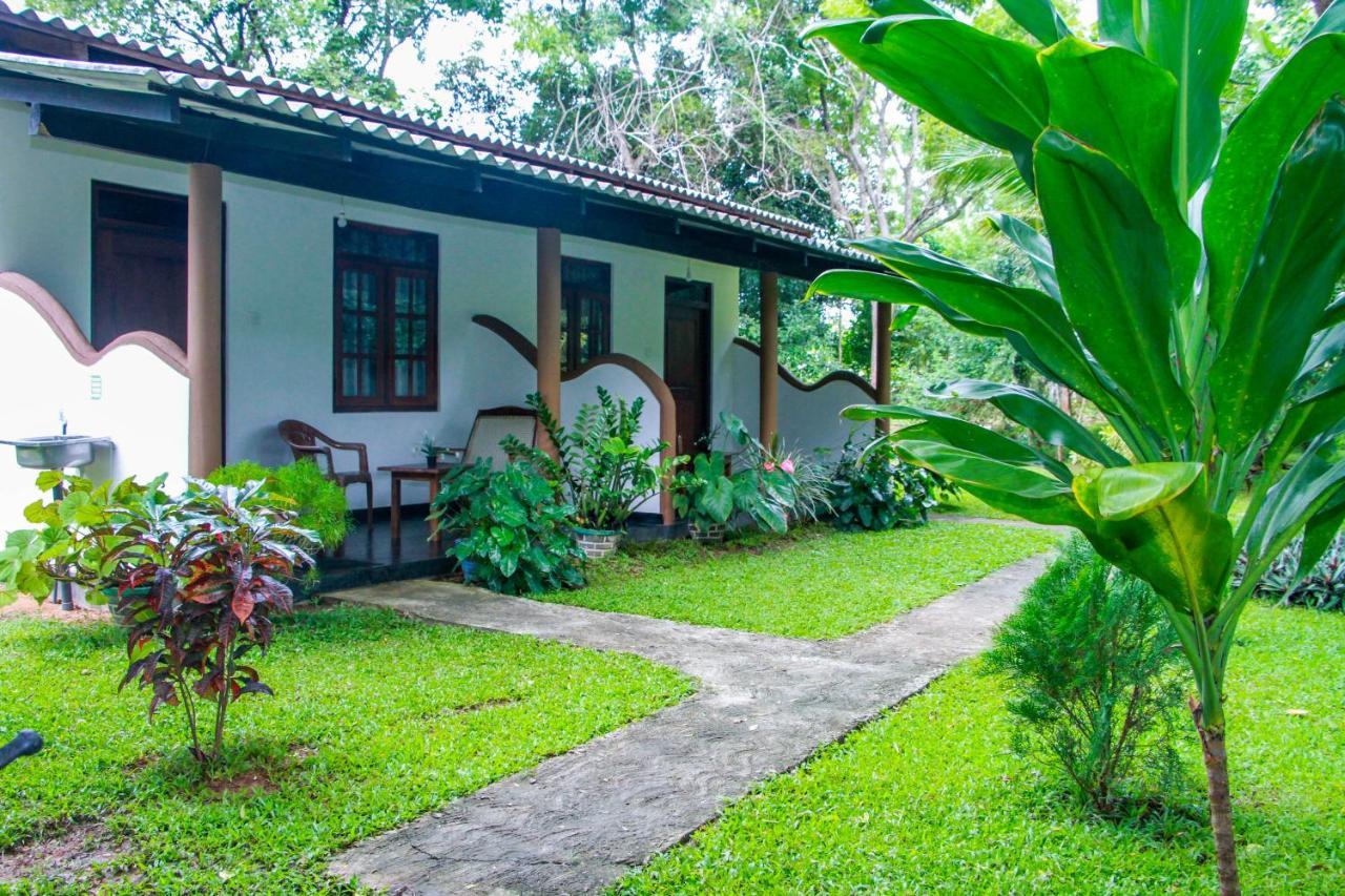 Nimsara Lodge Σιγκιρίγια Εξωτερικό φωτογραφία